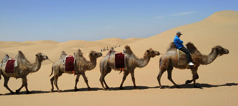 内モンゴル　クブチ砂漠 インケンタラ砂漠（響砂湾）