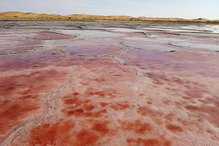 トンゴリ砂漠　ウラン湖
