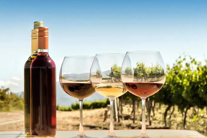 寧夏ワイナリー　ワインテイスティング