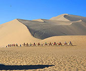 �����@���R