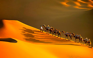 �������@�����c�A�[