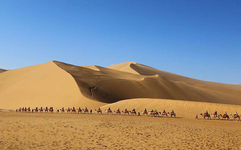 �����ό����n�c�A�[