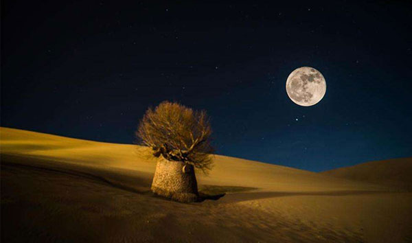 ���������L�����v