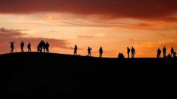 ���������L�����v