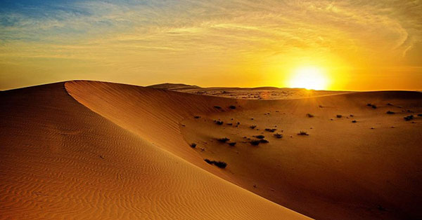 ���������L�����v