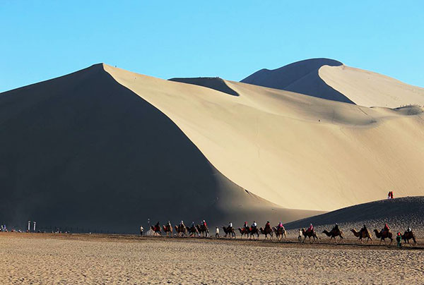 ���R�ƌ����@����