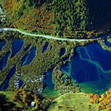 �����E��ˍa�E�����E���s�̗�