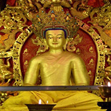 �`�x�b�g�̗�