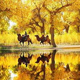 �����E�V�d�E�����@�V���N���[�h�ό��c�A�[