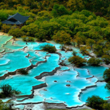 �����E��ˍa�̗�