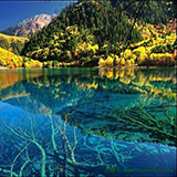 ���s�E��ˍa�̗�