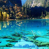 ���s�E��ˍa5���Ԃ̗�