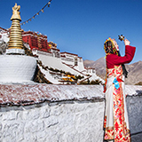 �`�x�b�g�S���c�A�[