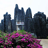 �����E�嗝�E��]�̗�