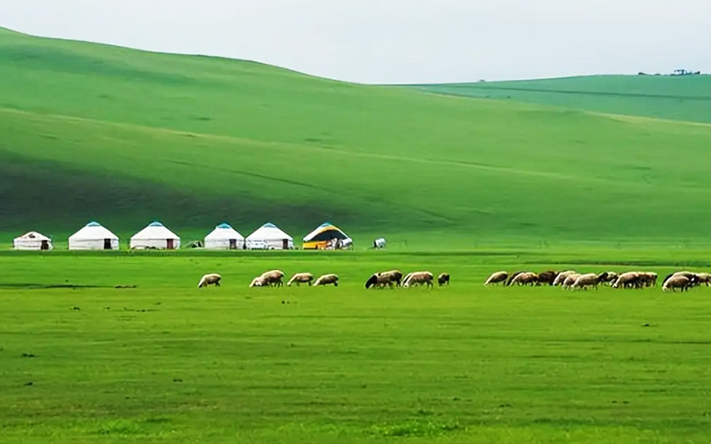 内モンゴル大草原・クブチ砂漠・フフホト３日間観光ツアー