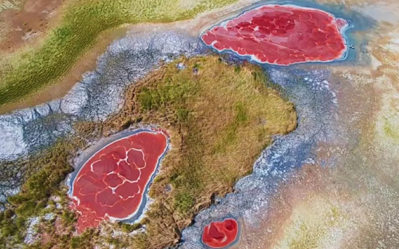 トンゴリ砂漠ドライブ＆寧夏ワイナリー＆謎の西夏王国探訪３日間