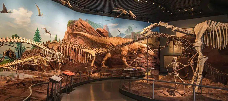 澄江化石地自然博物館