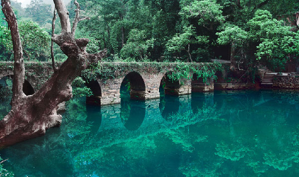 茘波 貴州 茘波 貴州