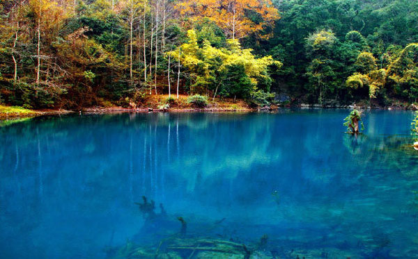 茘波 貴州 茘波 貴州