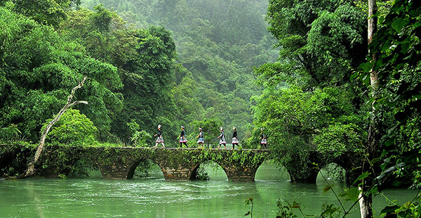 茘波 貴州 茘波 貴州