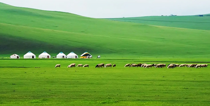 内モンゴル大草原とチンギスハン陵3泊4日間観光ツアー