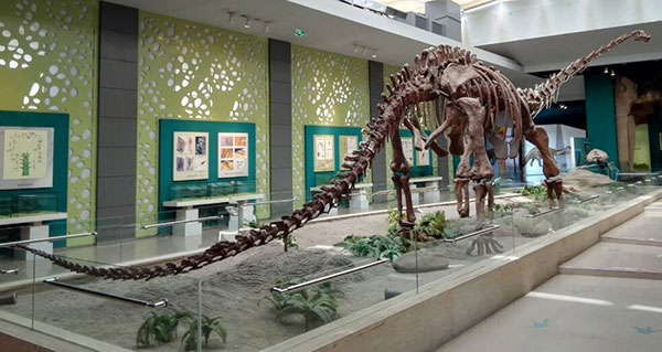 ���B�Ïl�Ȕ�����