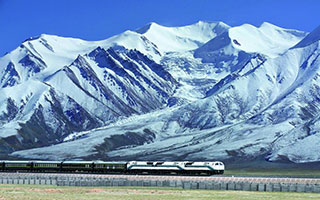 ���B���@�C�`�x�b�g�S���c�A�[