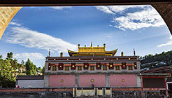 �C�`�x�b�g���s�̐�