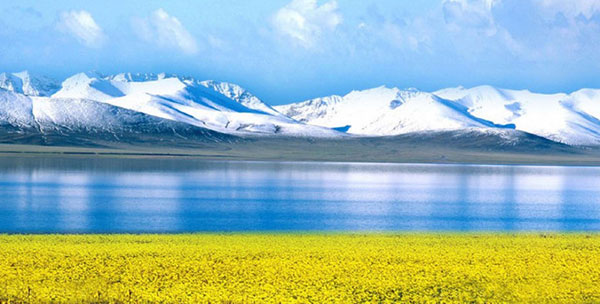 �C�΁i�����������j