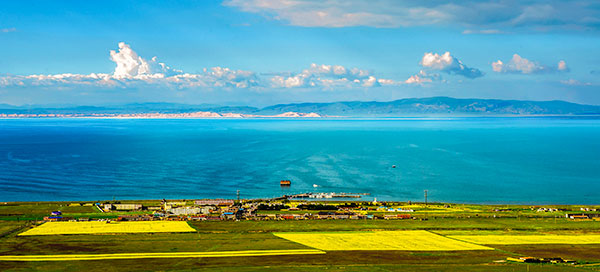 �C�΁i�����������j