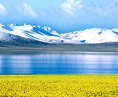 �C�΁i�����������j