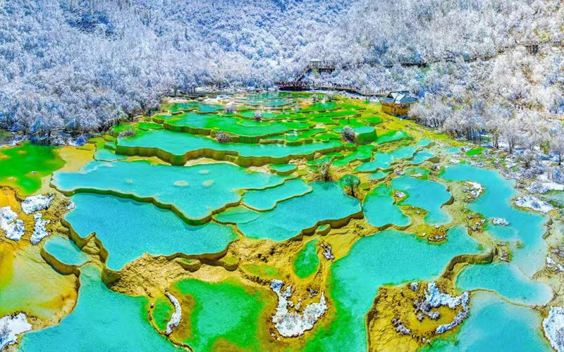 成都パンダ・九寨溝・黄龍４日間観光ツアー