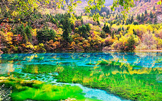 �������@��ˍa�c�A�[