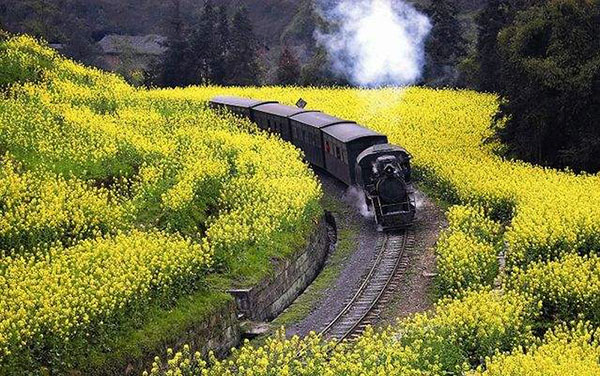 �m�ΓS���i�×z���C�@�֎ԁj