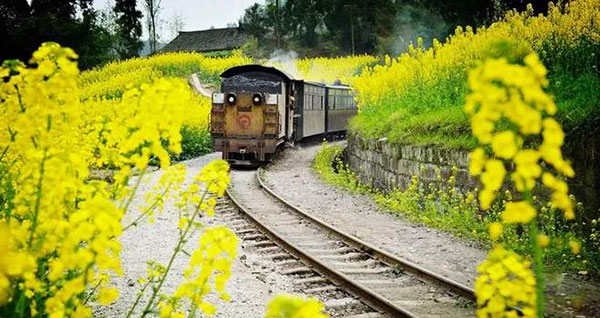 �m�ΓS���i�×z���C�@�֎ԁj