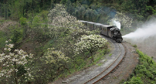 �m�ΓS���i�×z���C�@�֎ԁj