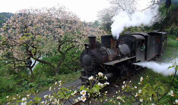 �m�ΓS���i�×z���C�@�֎ԁj