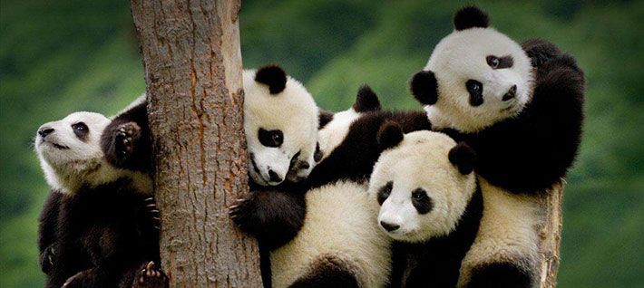 �l��痴�p���_��n