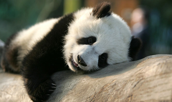 �l��痴�p���_��n