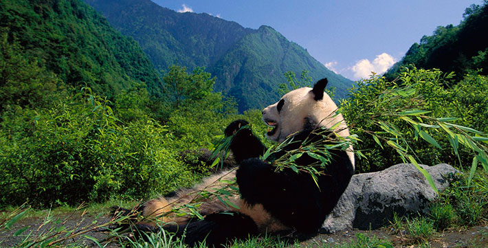 �l��痴�p���_��n