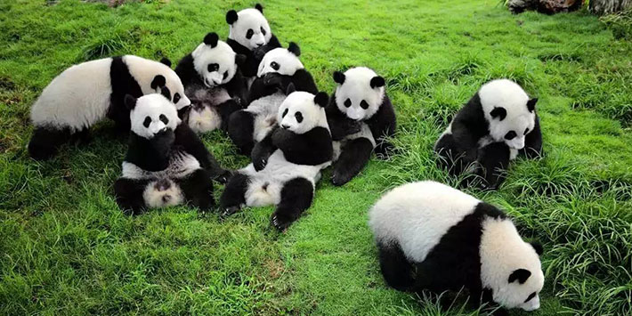 ���s�p���_��n