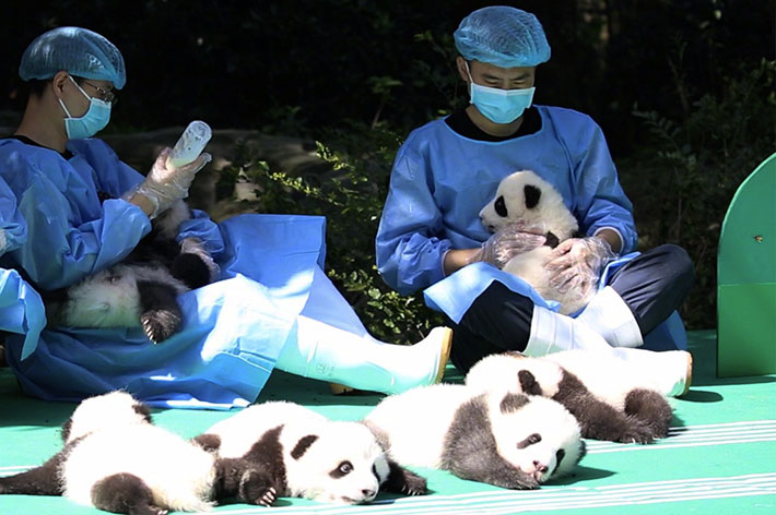 ���s�p���_��n