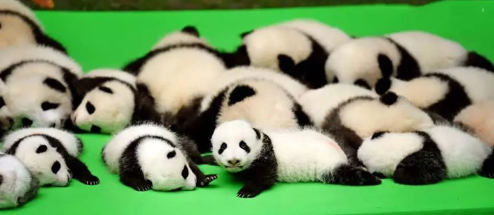 ���s�p���_��n