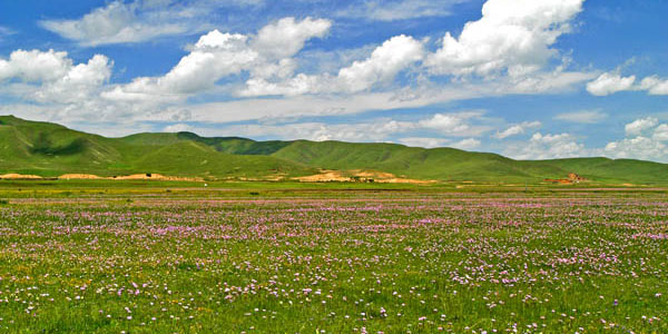 ソルゲ大草原 ソルゲ大草原