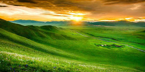 ソルゲ大草原 ソルゲ大草原