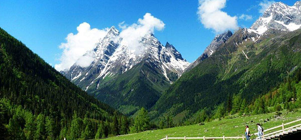 ���s���@�l�Ɩ��R�c�A�[