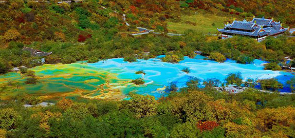 ���s���@�Ԃōs����ˍa�E�����c�A�[