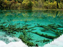 ���s���@��s�@�ōs����ˍa�E�����c�A�[