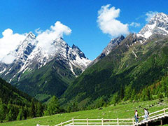 ���s���@�l�Ɩ��R�c�A�[