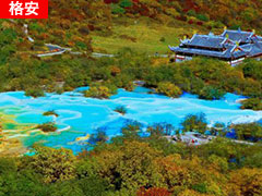 ���s���@�Ԃōs����ˍa�E�����c�A�[